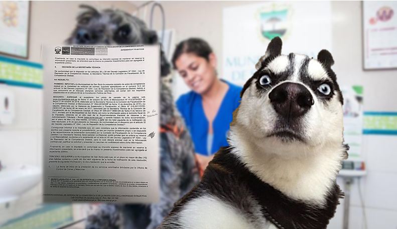 Indecopi veterinarias