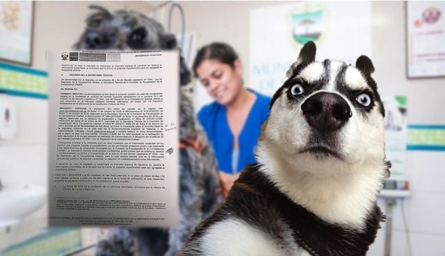 Indecopi veterinarias